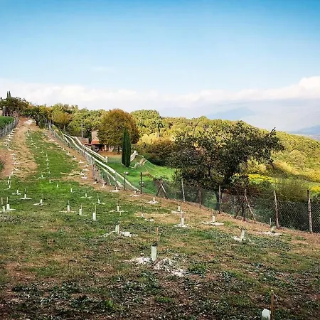 Casa Bisibilla Holiday home